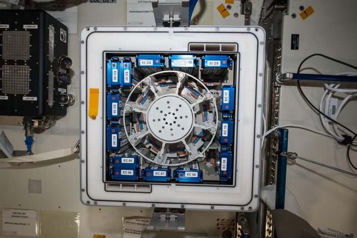 ASI - Bioreactor Express Service, nuova opportunità tutta italiana per gli esprimenti sulla ISS