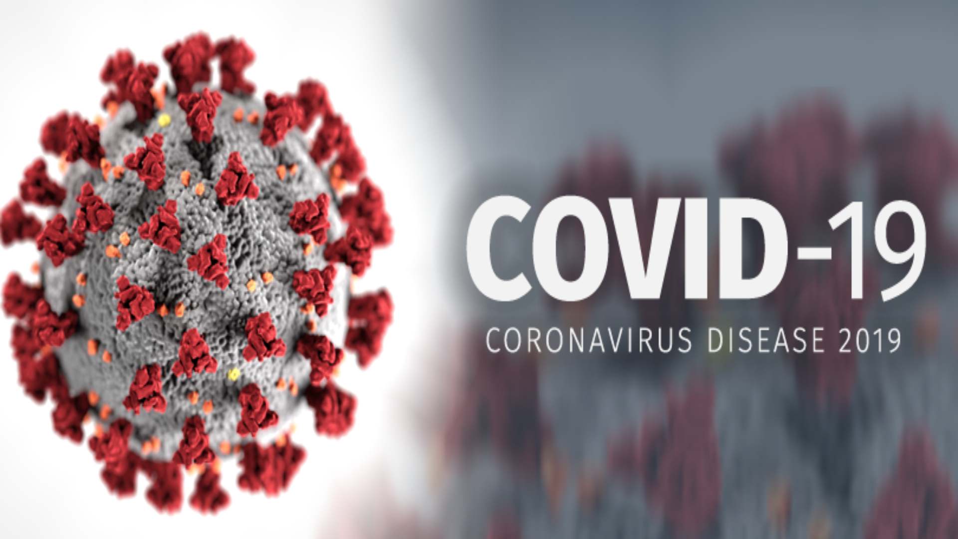 ASI - Lo IAF si mobilita per la lotta al Coronavirus