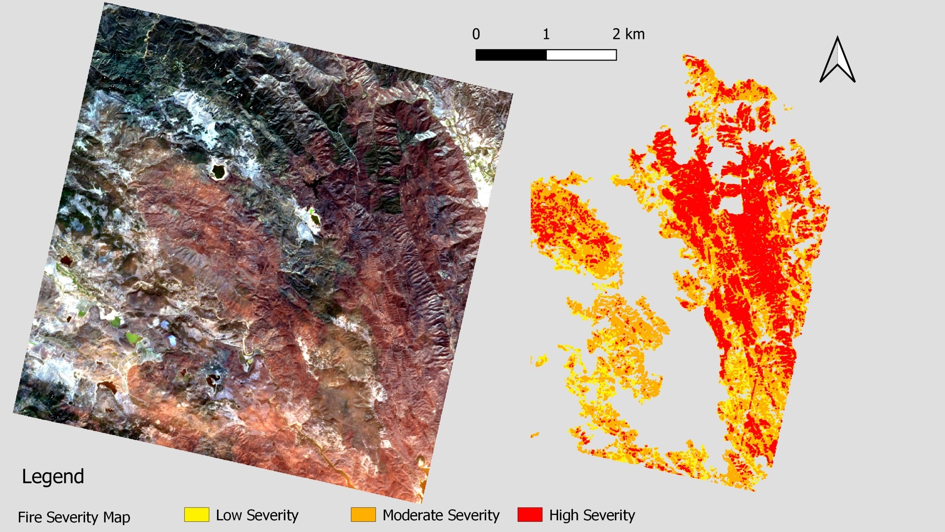 ASI - PRISMA for extraction of Fire Severity Maps