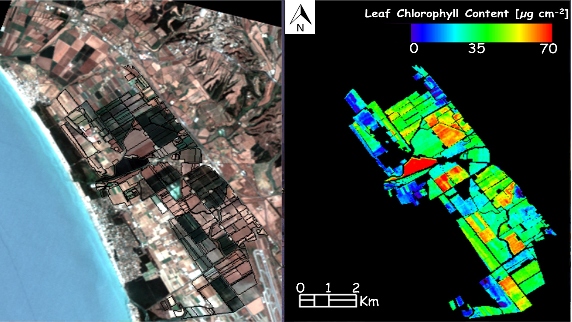 PRISMA for Retrieval of Vegetation Indicators