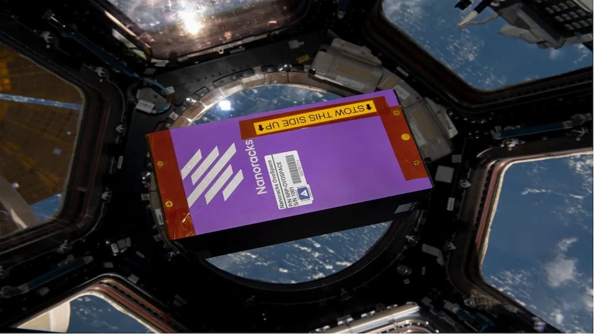 ASI - Missione Minerva: successo per l’esperimento spaziale Ovospace