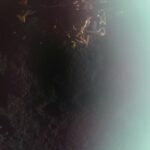 54358827002_e5bb0254be_k