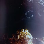 54359942039_cd37317fc2_k